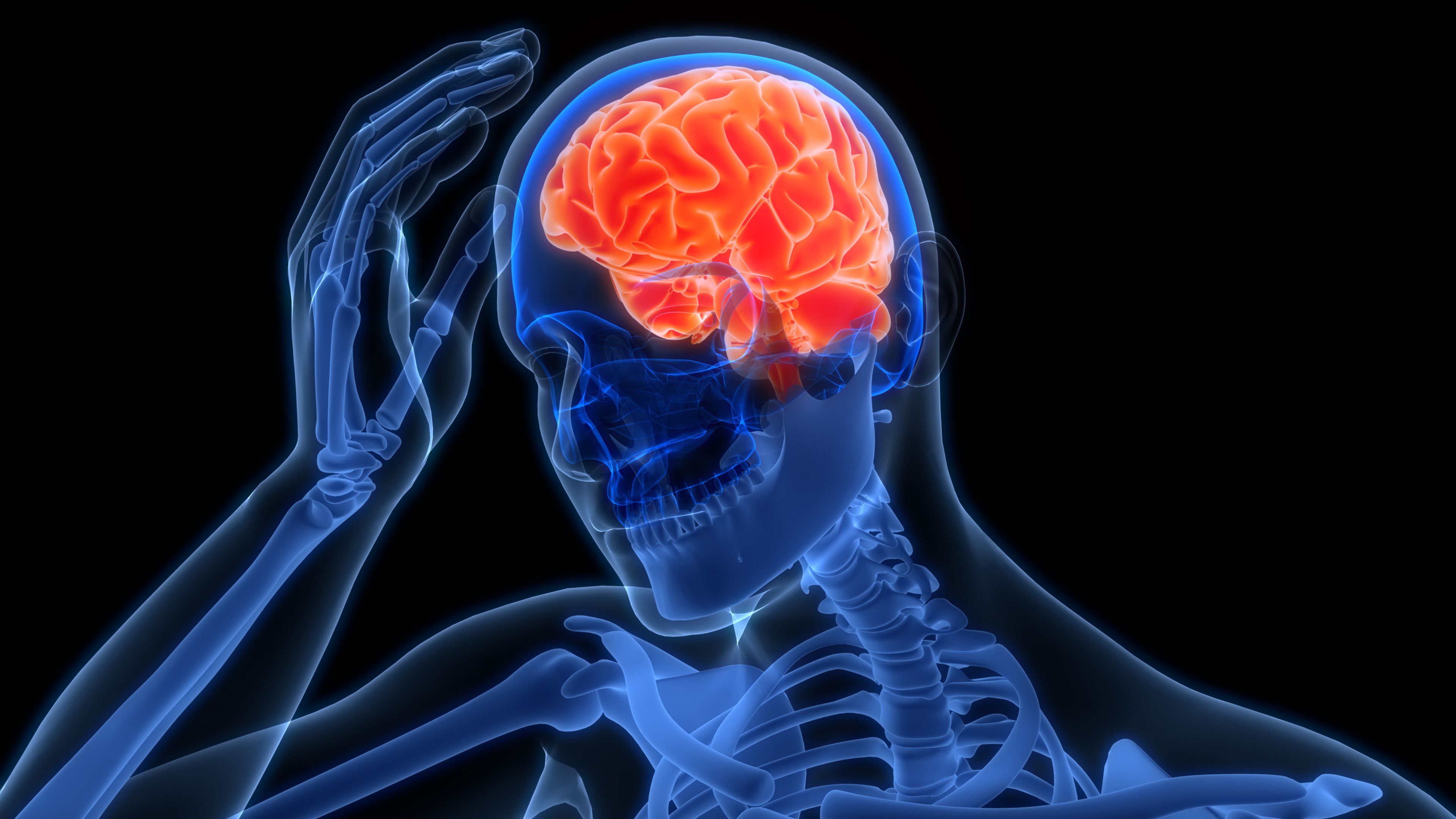 Brain and Spine Injuries: The Road to Recovery with Legal Support
