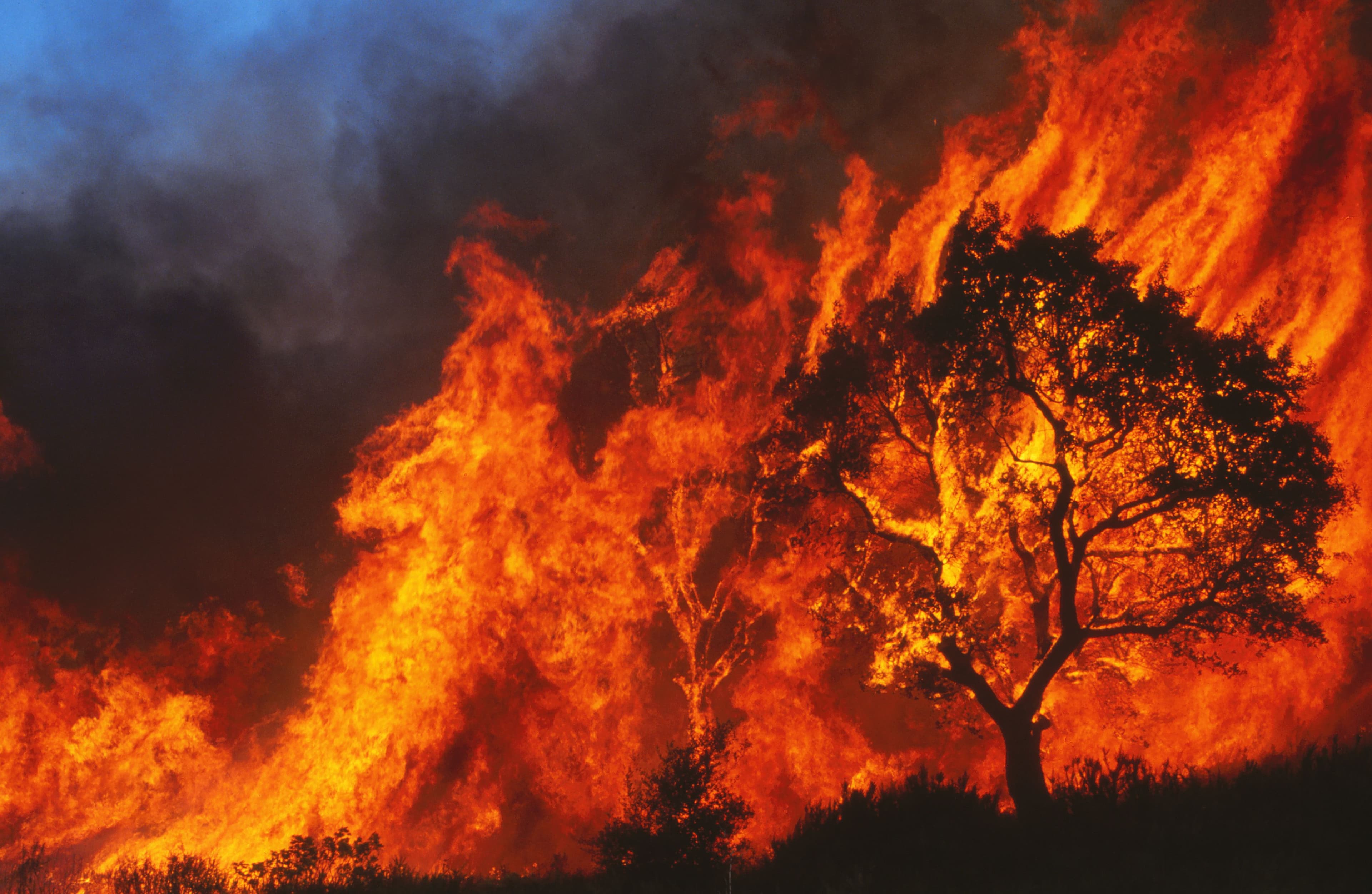 Burn Injury Cases – Understanding Your Legal Rights